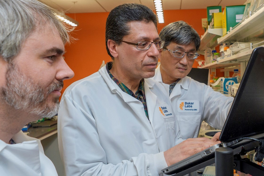 Three scientists look at a laptop in a lab